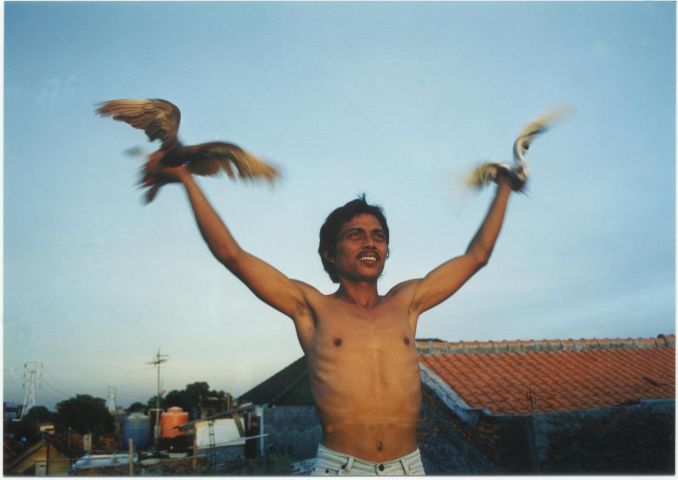 Kadras iš garsus olandų kino menininko Leonardo Retel Helmricho trilogijos „Saulė aukštybėse“, 2001, „Mėnulio pavidalas“, 2004, „Tarp žvaigždžių“, 2010