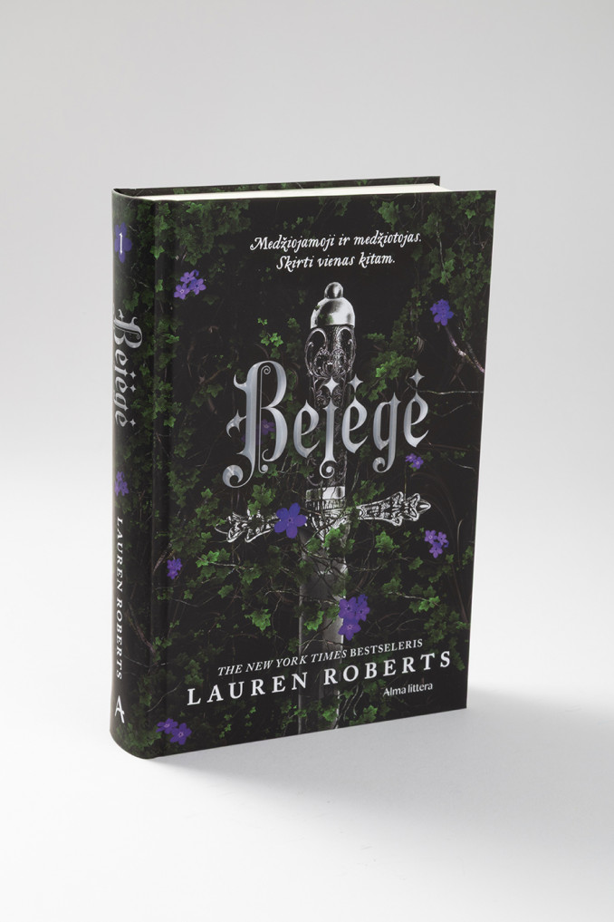 Leidykla „Alma littera“ surikiavo 2025 metų populiariausių knygų sąrašą: kas jo viršūnėse?