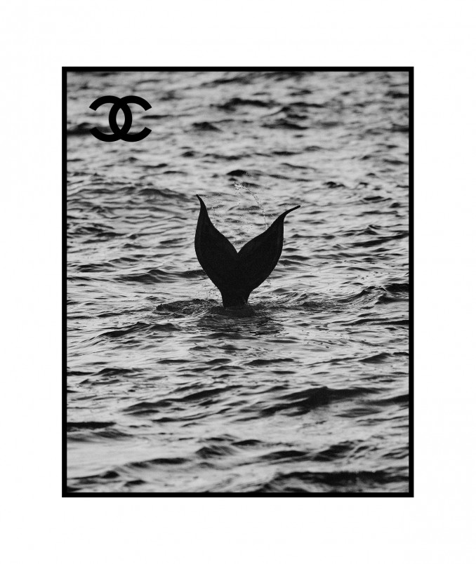 „Chanel“ naujos kruizinės kolekcijos anonsas