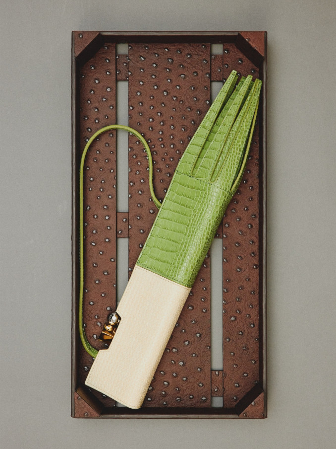 Delninė „The Poireau“