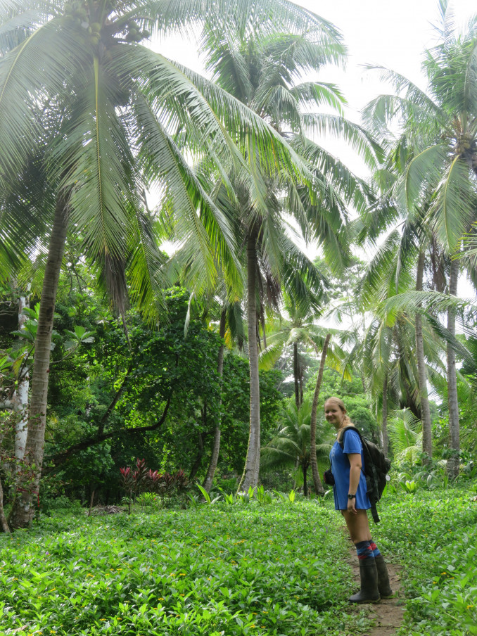 Saulė Paltanavičiūtė