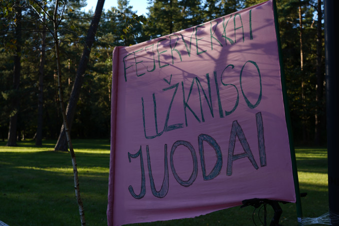 Prie Vingio parko vykusiame proteste skambėjo raginimai riboti fejerverkus