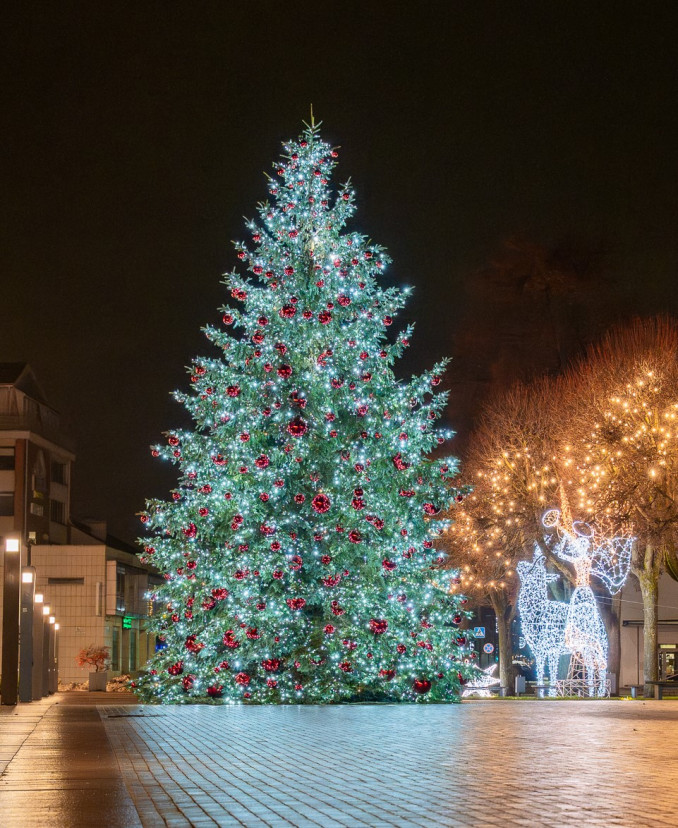 Alytaus Kalėdų eglė