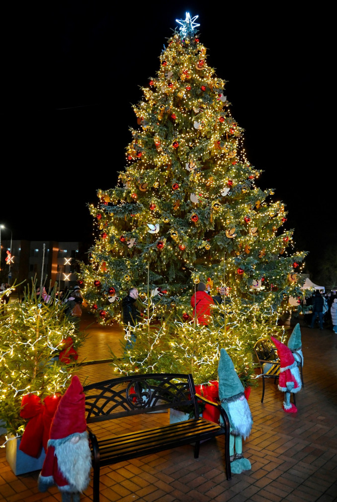 Pakruojo Kalėdų eglutė