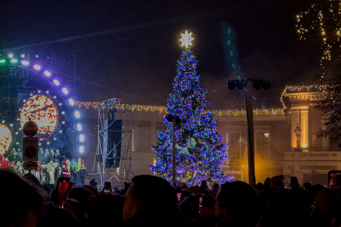 Klaipėdos Kalėdų eglė